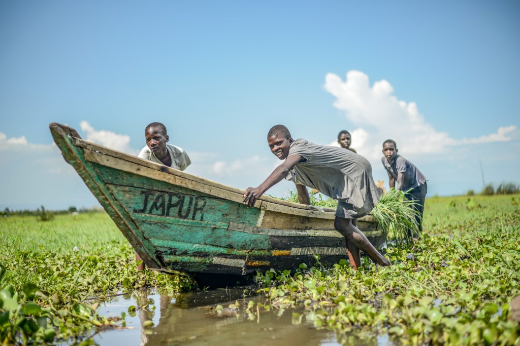 People move a wooden boat through thick aquatic vegetation.