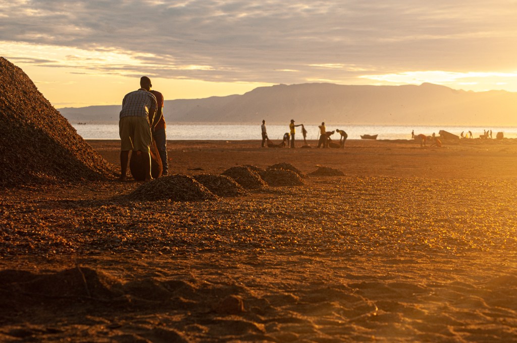 People work along the shore of Lake Eyasi in warm evening light.